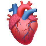 Heart