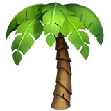 Palm Tree